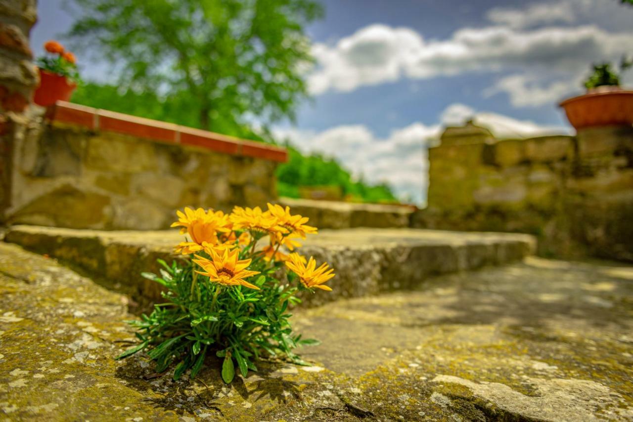 Casa Al Bosco Konuk evi SantʼEllero Dış mekan fotoğraf
