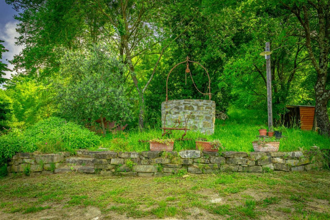 Casa Al Bosco Konuk evi SantʼEllero Dış mekan fotoğraf
