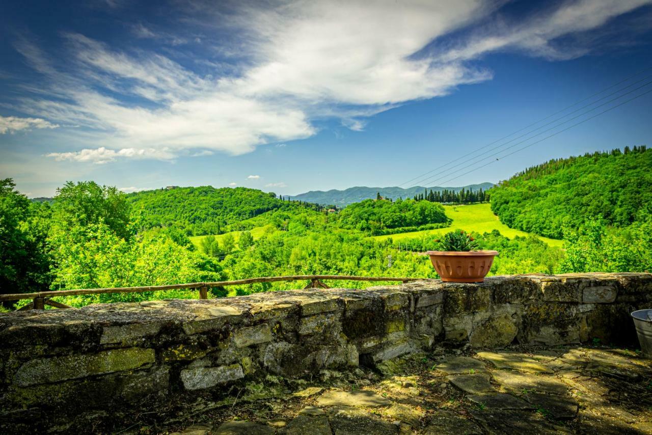 Casa Al Bosco Konuk evi SantʼEllero Dış mekan fotoğraf
